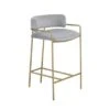 Upholstered Low Back Counter Height Stool In Grey And Gold - Single - Grey And Gold - Counter Height - 23-28 In. -Elegance Barware 4f35299e a020 4833 a056 26702dae4690